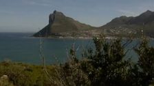 S8 E3: Cape Town - Part 1