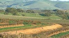 S1 E10: Wine Lovers' Guide to Australia