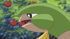 S9 E16: Odd Pokemon Out!