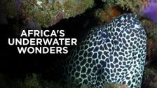 Africa's Underwater Wonders
