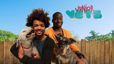 Junior Vets