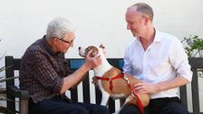 S3 E11: Paul O'Grady: For the Love of Dogs