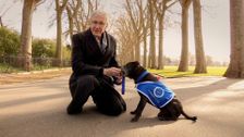 S1 E4: Paul O'Grady: For the Love of Dogs