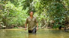 S1 E6: Borneo: Dark Shadow