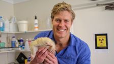 S7 E7: Bondi Vet