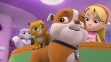 S1 E3: Pups and the Kitty-tastrophe; Pups Save a Train