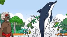 S7 E3: Flipping Dolphin