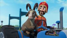 S14 E1: Pups Stop the Garboni; Pups Save the Porcupine