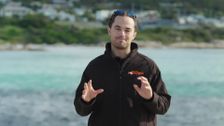 S17 E1: What's Up Down Under