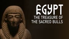 Egypt: The Treasure Of The Sacred Bulls