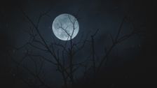 S3 E15: When Darkness Falls