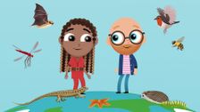 My Pet & Me: Teeny Tiny Creatures