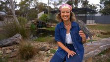 S33 E26: Sydney Weekender