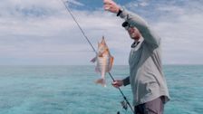 S3 E3: Keppels Reef