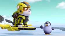 S4 E24: Pups Save Francois the Penguin; Pups Save Daring Danny's Hippo