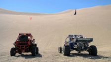 S5 E4: Looney Dunes