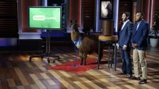 S8 E21: Shark Tank