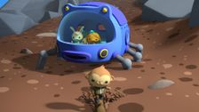 S1 E4: The Octonauts and the Hot Spring Snake