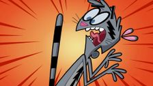 S10 E6: Animal Crockers; One Flu Over the Crocker's Nest