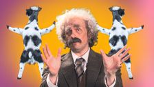 S2 E9: Catapulting Cows, School of Rocks and First Honk of the Proms