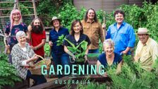 Gardening Australia