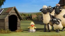S6 E18: Sheep Sheep Goose