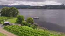 S5 E3: Tasmania