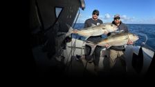 S2 E1: Chasing Giants - Yellowfin Tuna