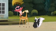 S1 E43: What Happens in the Wild