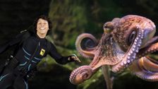 S2 E7: Andy and the Common Octopus