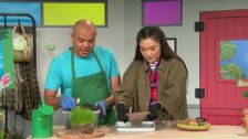 S349 E5: Green Team
