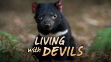 Living With Devils