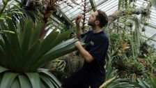 S2 E1: Kew Gardens: Season by Season