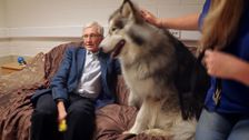 S3 E8: Paul O'Grady: For the Love of Dogs
