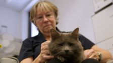 S2 E4: For the Love of Pets