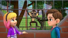 S1 E20: Spider Monkey