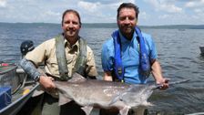 S1 E1: The Mighty Mississippi with Nick Knowles