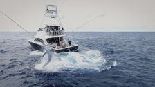 S1 E1: Reef Titans