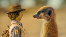 S1 E2: Andy and the Meerkats