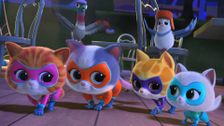 S1 E22: Howloween Cat