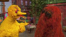 S53 E24: Move and Groove on Sesame Street!