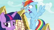 S8 E20: The Washouts