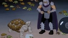S3 E17: Turtles, Turtles, Everywhere!