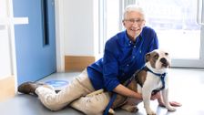 S10 E4: Paul O'Grady: For the Love of Dogs