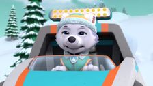 S5 E21: Pups Save a Cuckoo Clock; Pups Save Ms. Marjorie's House