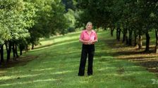 S32 E38: Better Homes and Gardens