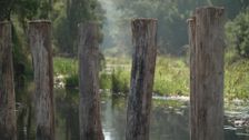 S2026 E28: Landline
