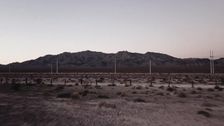 S1 E5: Mummified Truth