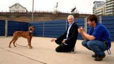 S1 E3: Paul O'Grady: For the Love of Dogs