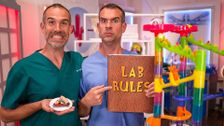S12 E12: Rules Are Rules!